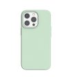 Araree Typo Skin Case - iPhone 13 Pro   Mint Fashion